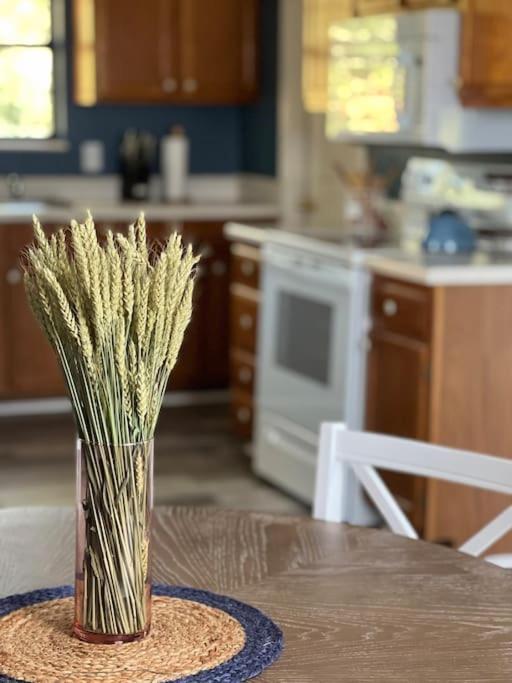 Charming House In Sevierville Family Friendly Quiet Location Close To Wilderness Kültér fotó